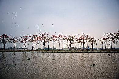 PS Now将于本月起每月加入一部《最终幻想》游戏 